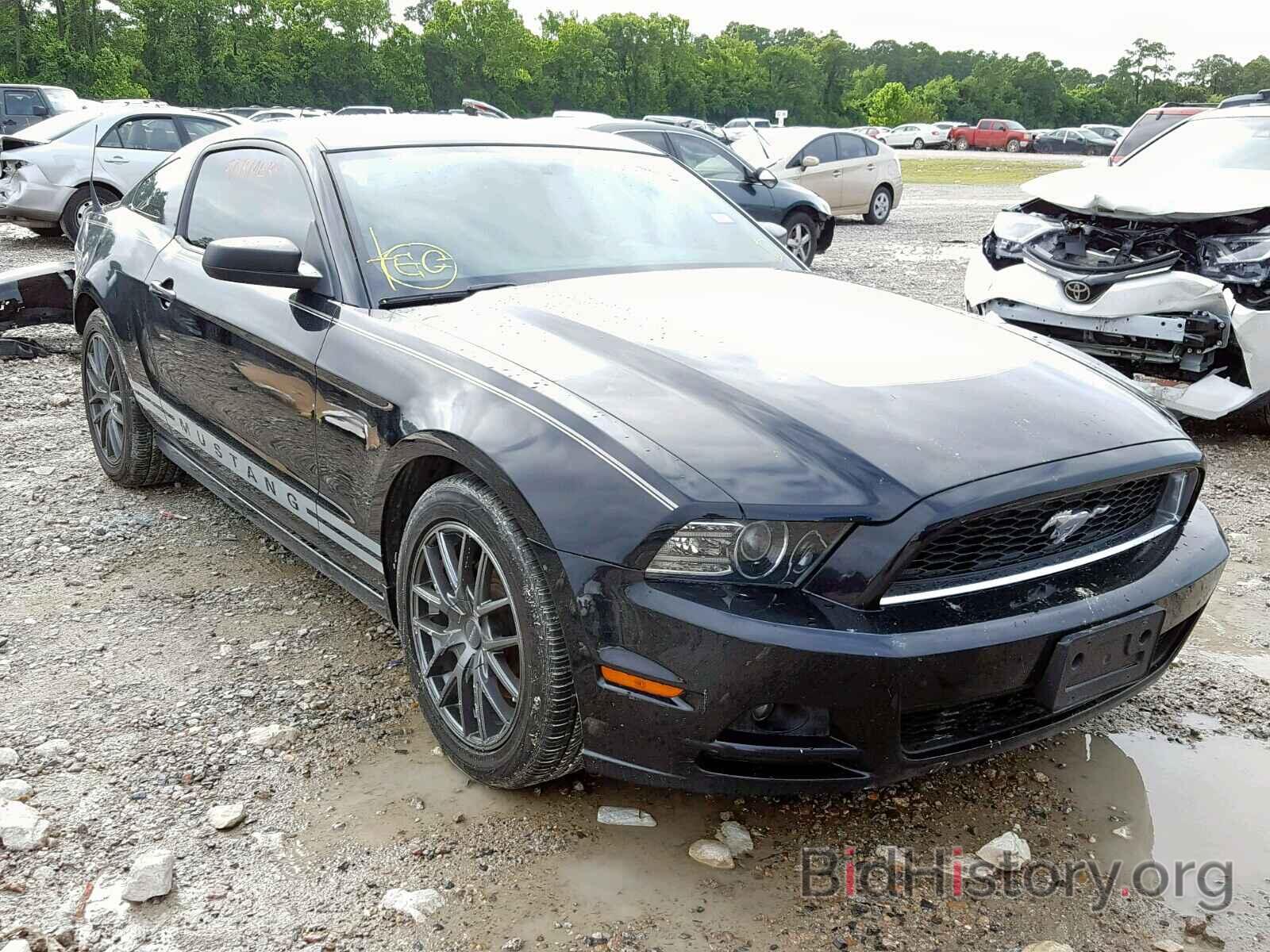 Photo 1ZVBP8AM7D5218785 - FORD MUSTANG 2013