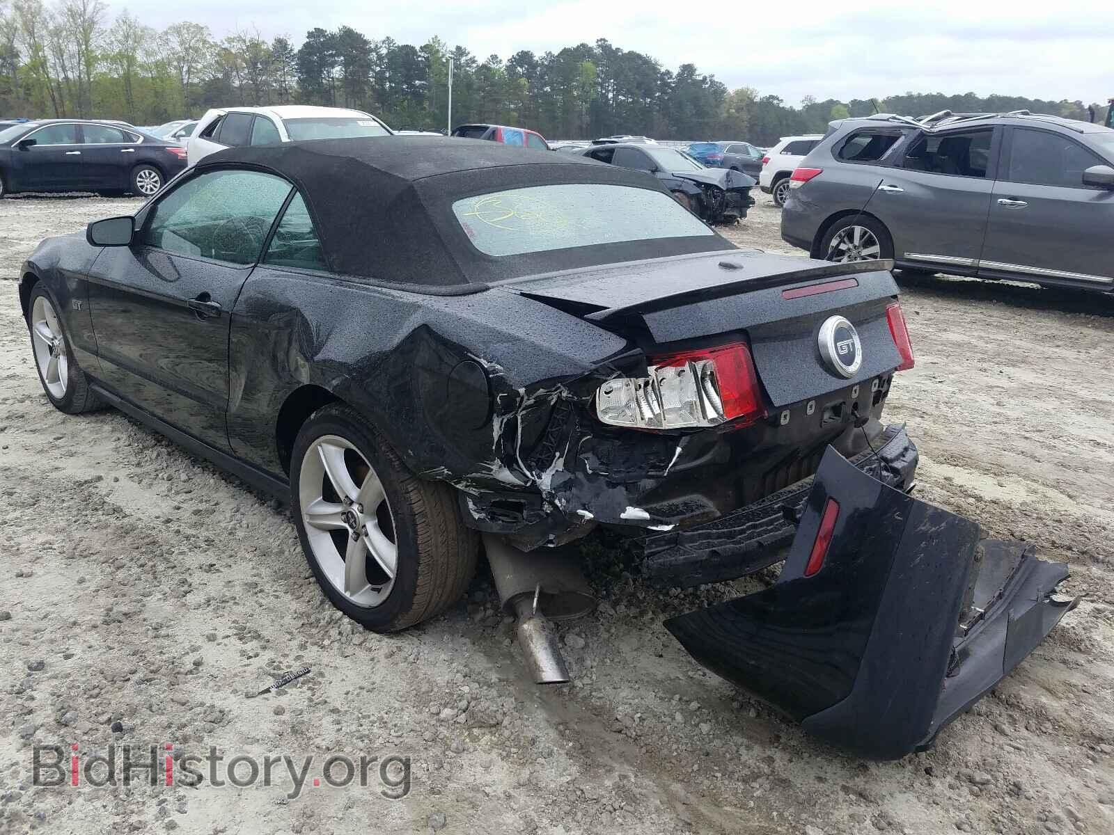 2010 FORD MUSTANG - VIN: 1ZVBP8FH6A5104199 - Фото 3
