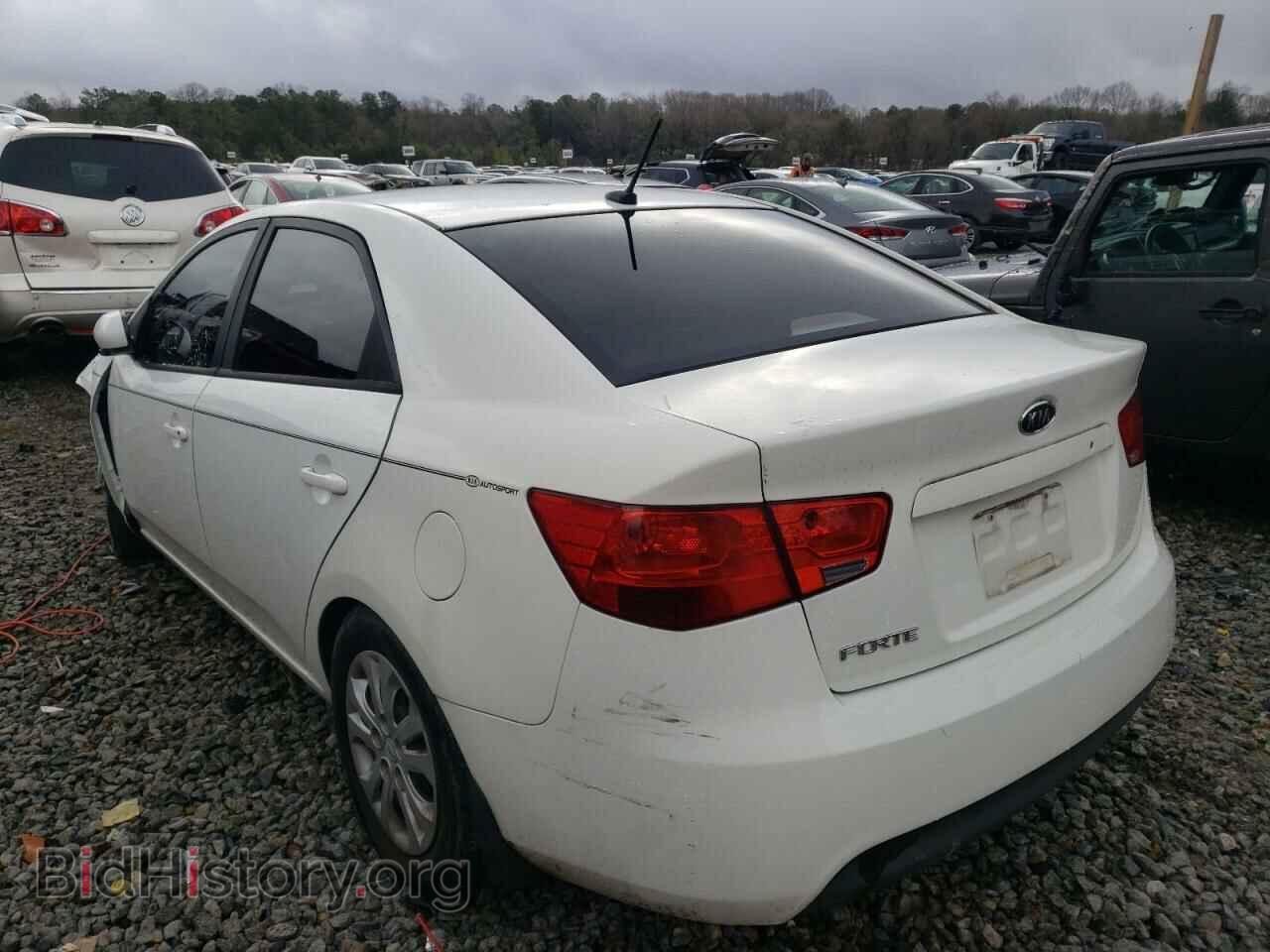 2013 KIA FORTE - VIN: KNAFT4A20D5654611 - Фото 2