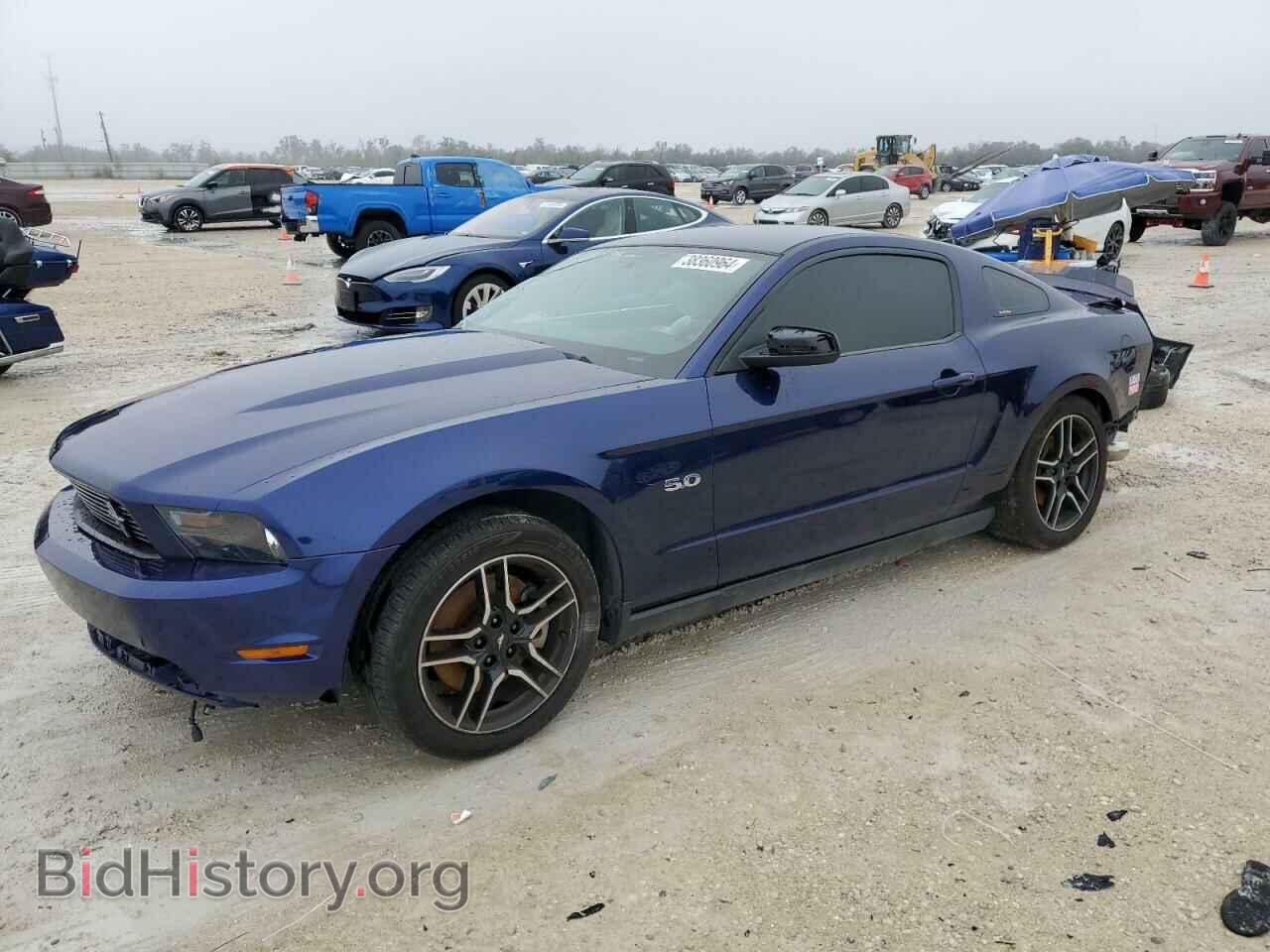 Фотография 1ZVBP8CF6B5153066 - FORD MUSTANG 2011
