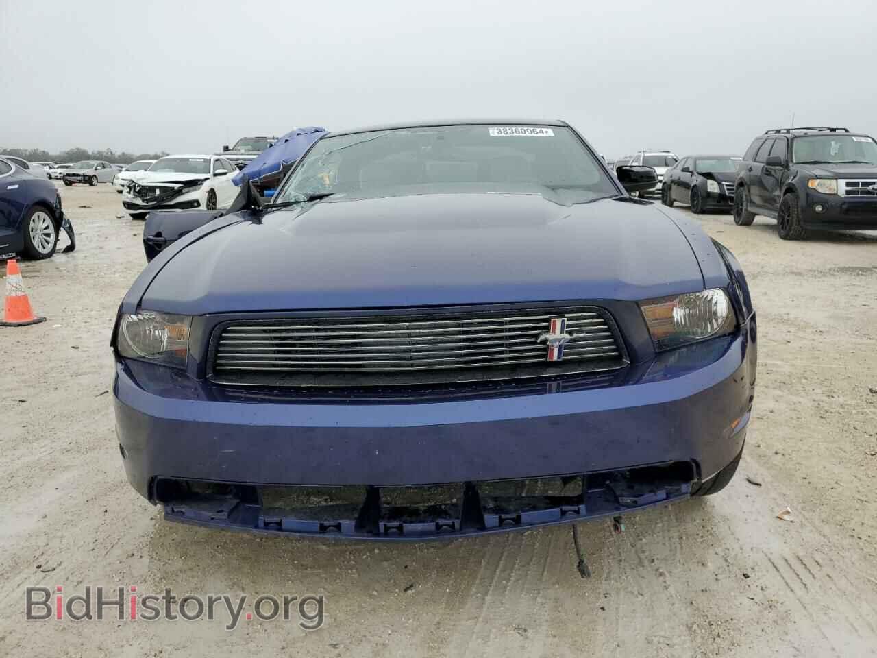 2011 FORD MUSTANG - VIN: 1ZVBP8CF6B5153066 - Фото 5