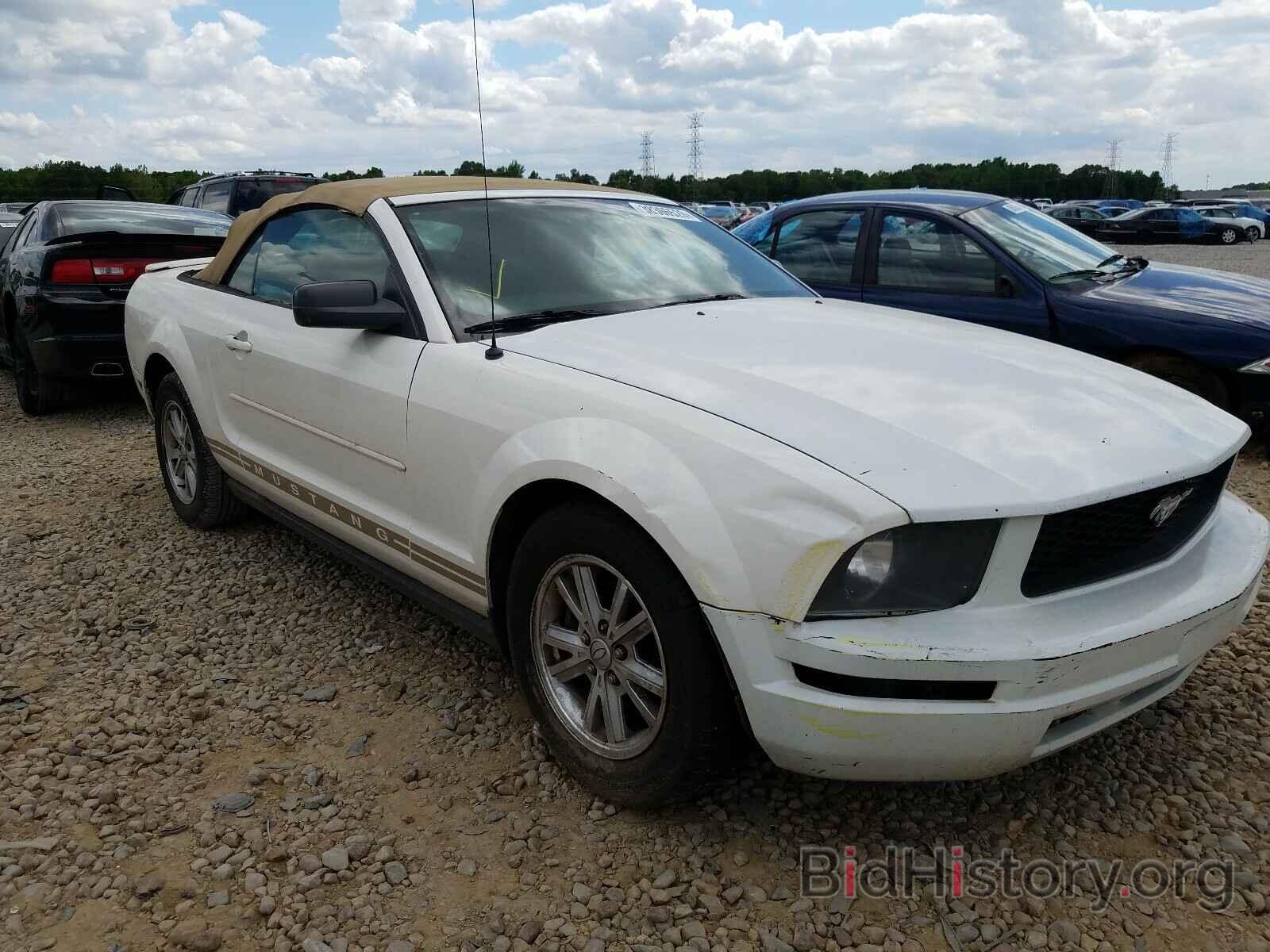Photo 1ZVHT84N685134697 - FORD MUSTANG 2008