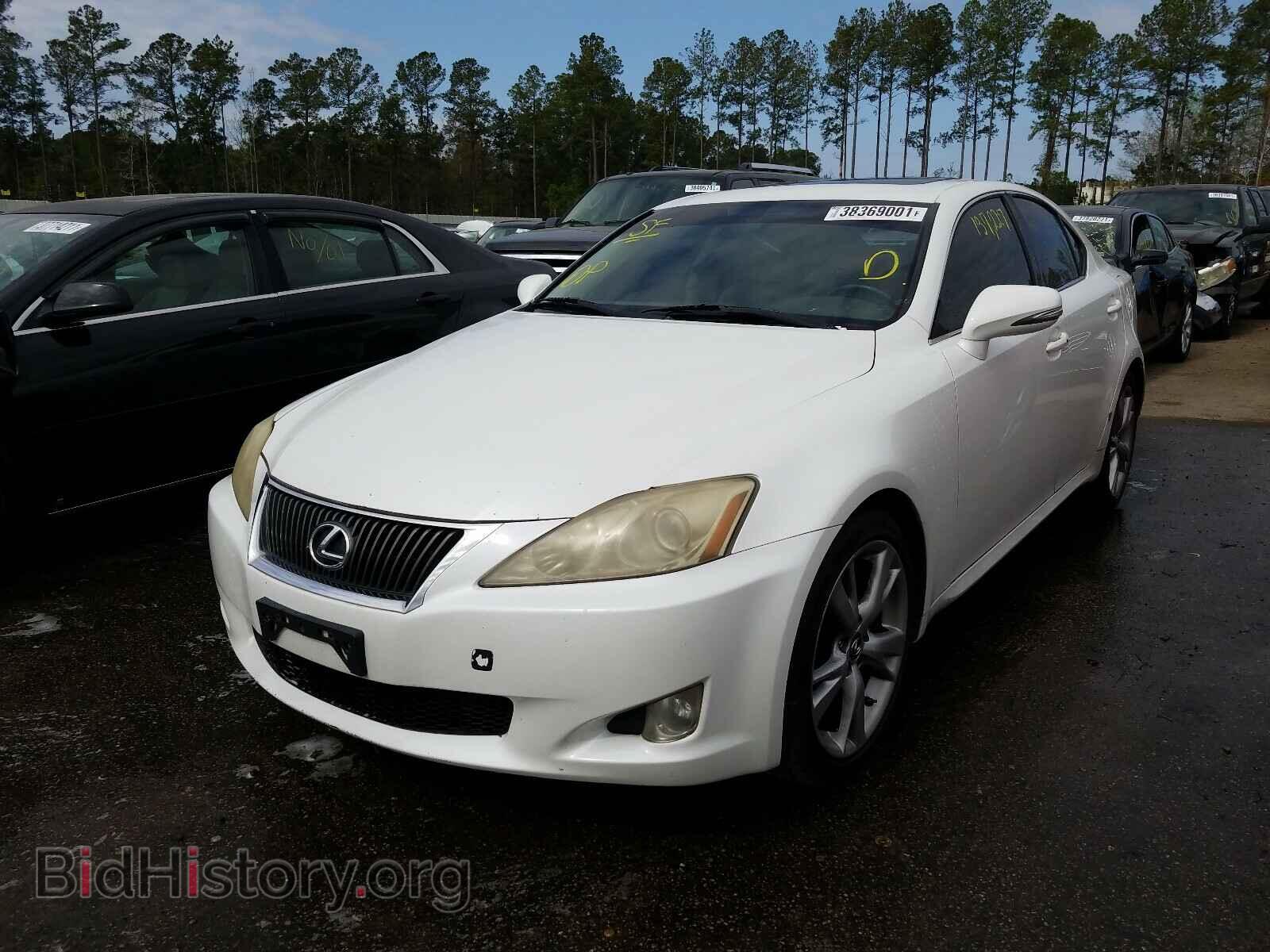 2009 LEXUS IS - VIN: JTHBK262395092954 - Фото 2
