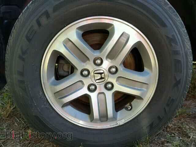2005 HONDA PILOT - VIN: 5FNYF18655B053639 - Фото 10