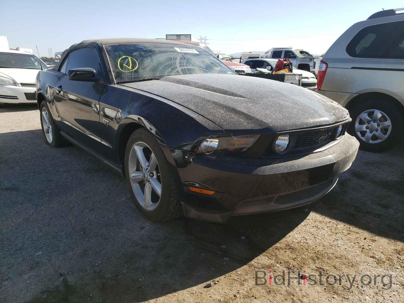 Photo 1ZVBP8FH9A5145247 - FORD MUSTANG 2010