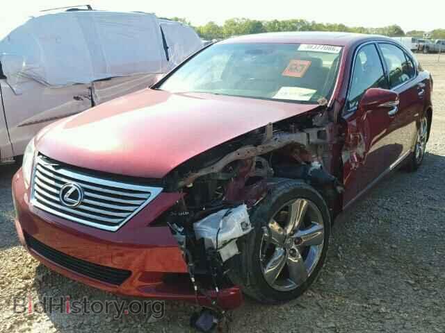 2011 LEXUS LS460 - VIN: JTHGL5EF1B5042259 - Photo 2
