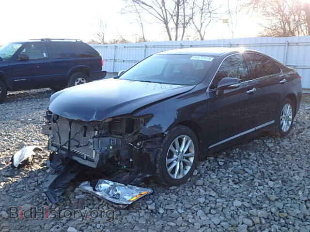 2010 LEXUS ES350 - VIN: JTHBK1EG2A2361393 - Фото 2