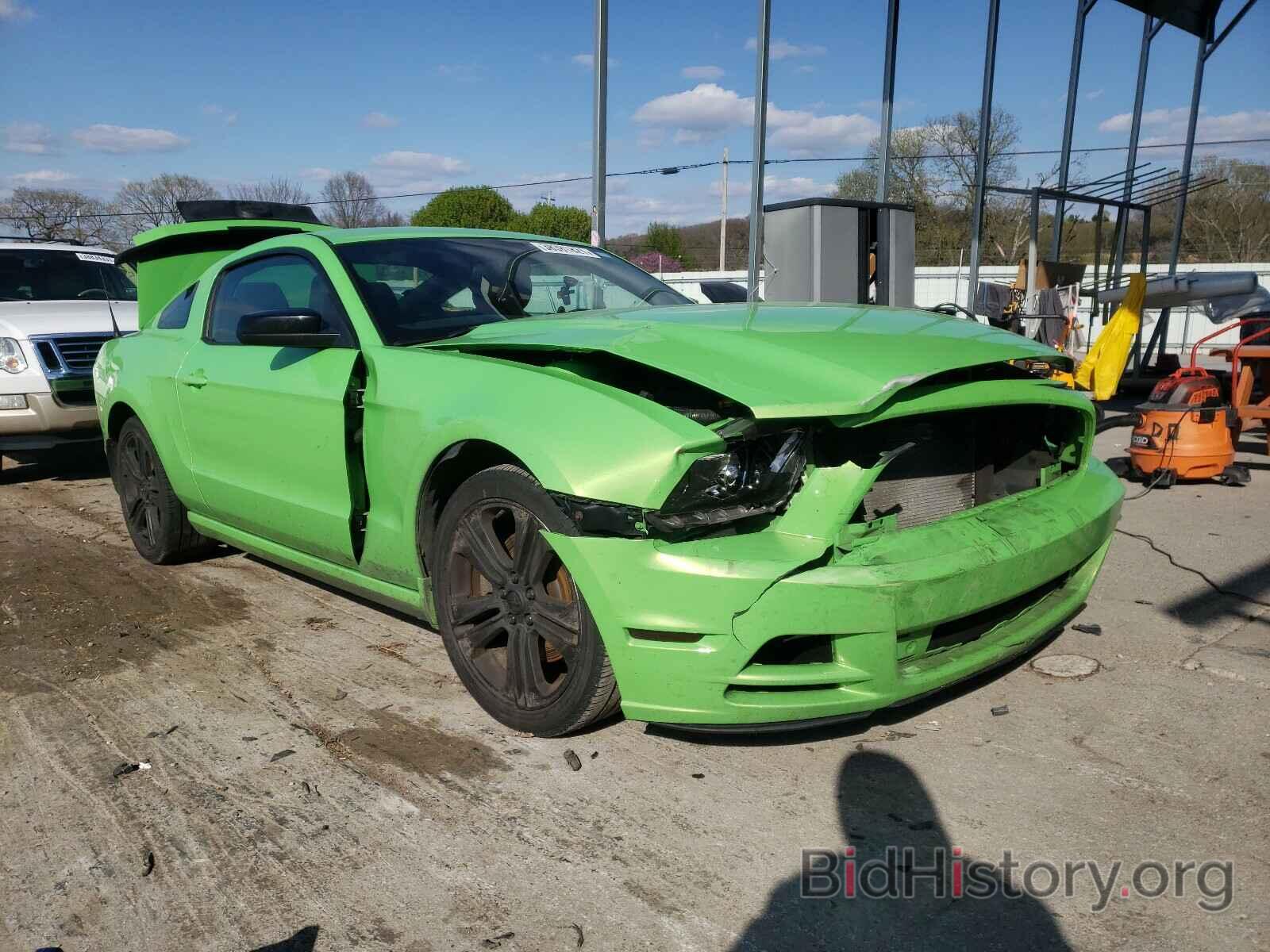 Photo 1ZVBP8AM4D5253302 - FORD MUSTANG 2013