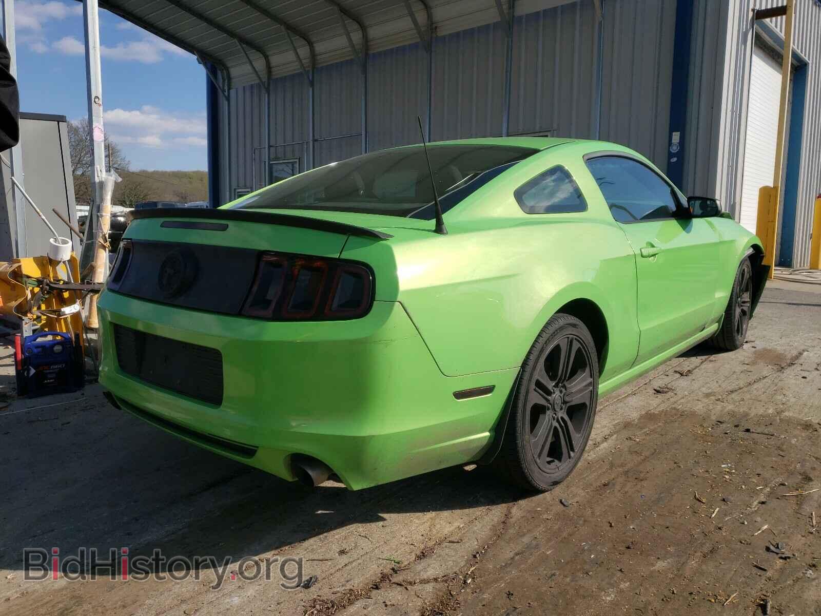 2013 FORD MUSTANG - VIN: 1ZVBP8AM4D5253302 - Фото 4