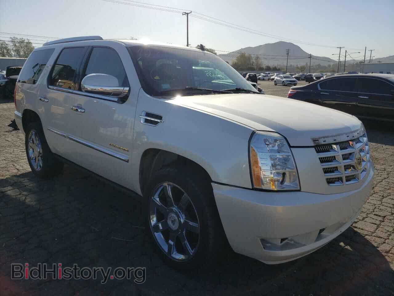 Фотография 1GYUKCEF7AR197945 - CADILLAC ESCALADE 2010