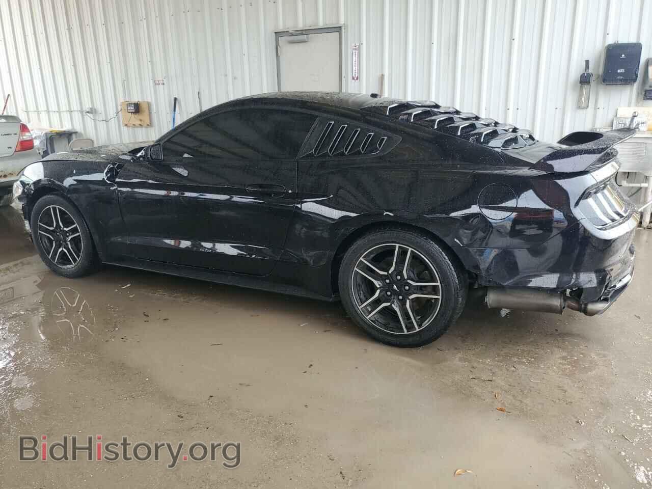 2019 FORD ALL Models - VIN: 1FA6P8TH0K5117000 - Photo 2