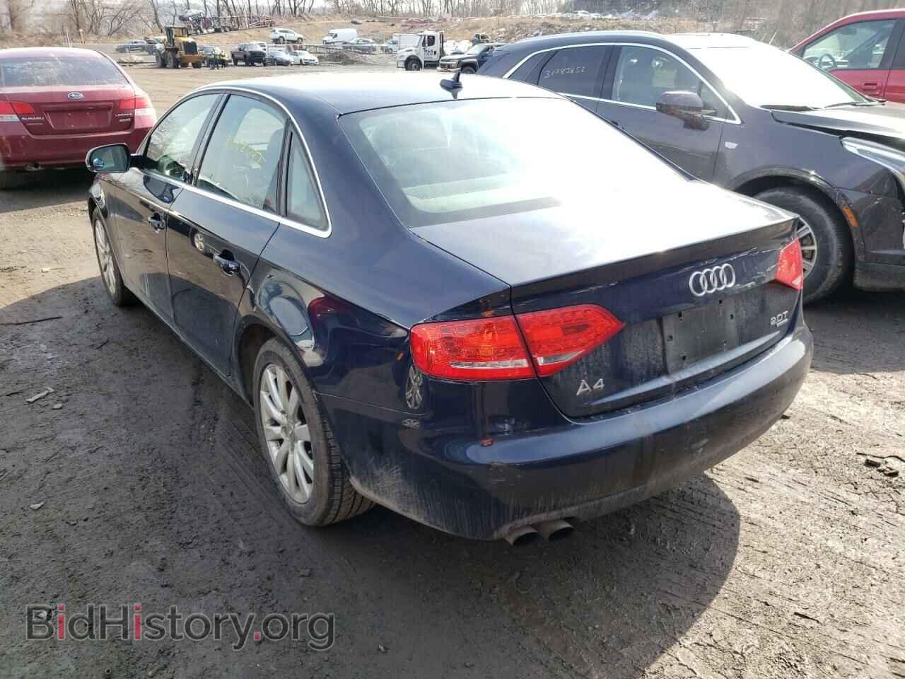 2010 AUDI A4 - VIN: WAUHFAFL1AN010823 - Фото 3
