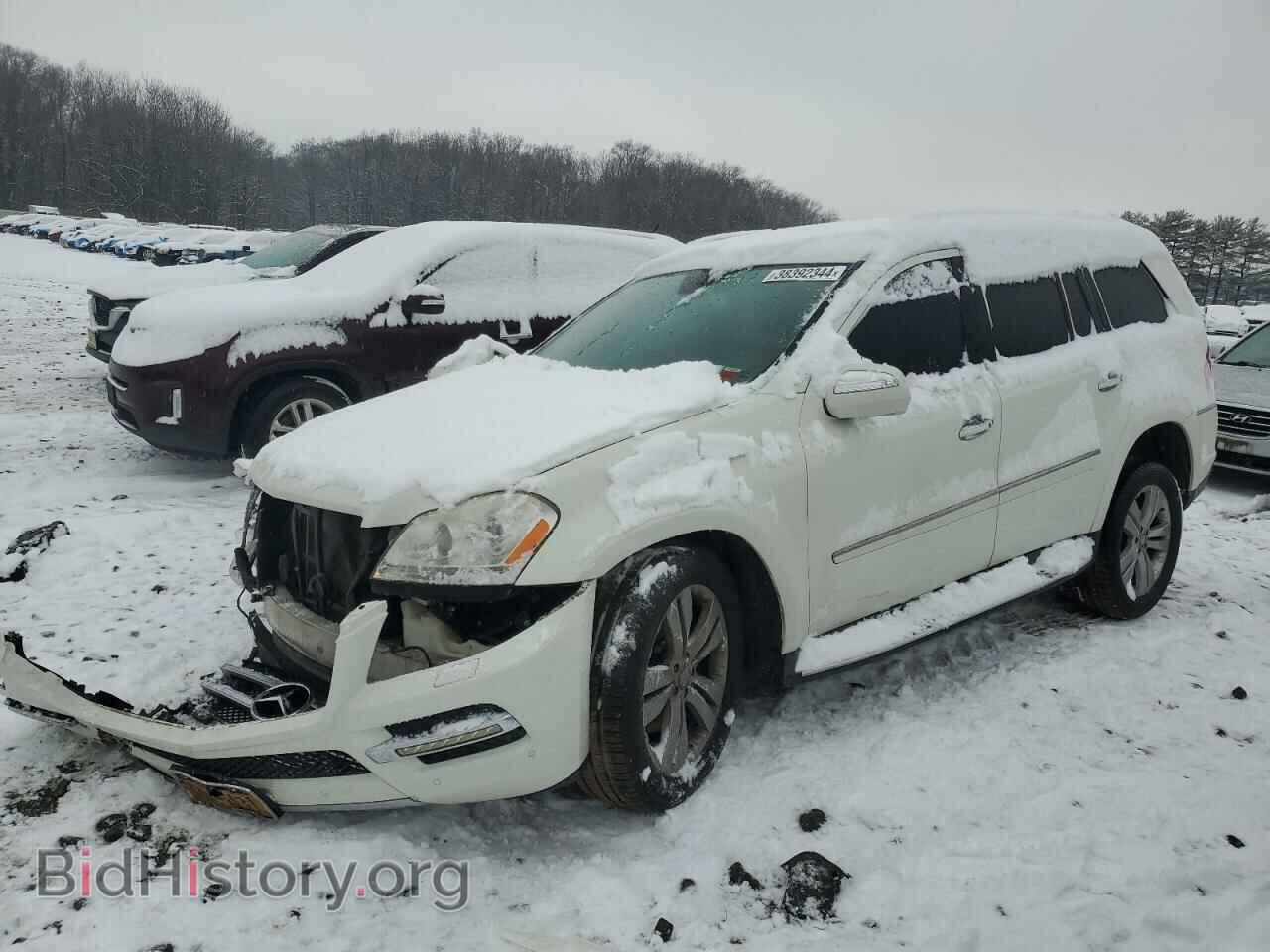 Фотография 4JGBF7BE8AA543306 - MERCEDES-BENZ GL-CLASS 2010