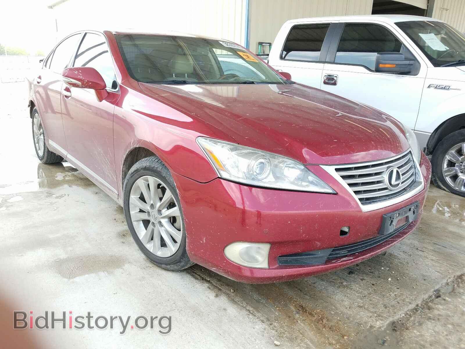 Фотография JTHBK1EG1A2366598 - LEXUS ES350 2010