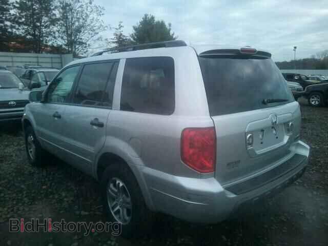 2005 HONDA PILOT - VIN: 5FNYF18425B006650 - Фото 3