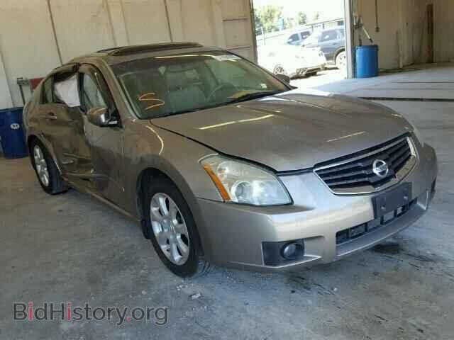 Photo 1N4BA41E48C836711 - NISSAN MAXIMA 2008