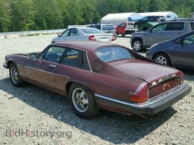 1985 JAGUAR XJS - VIN: SAJNV5842FC118426 - Фото 3