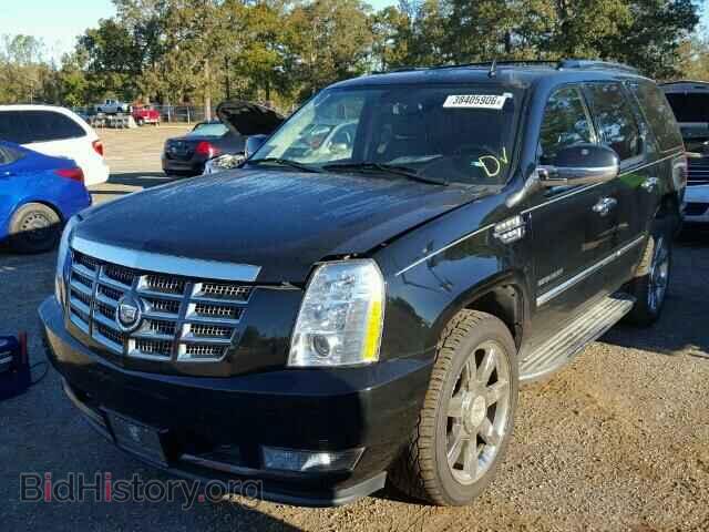 2011 CADILLAC ESCALADE - VIN: 1GYS4BEF3BR336918 - Фото 2