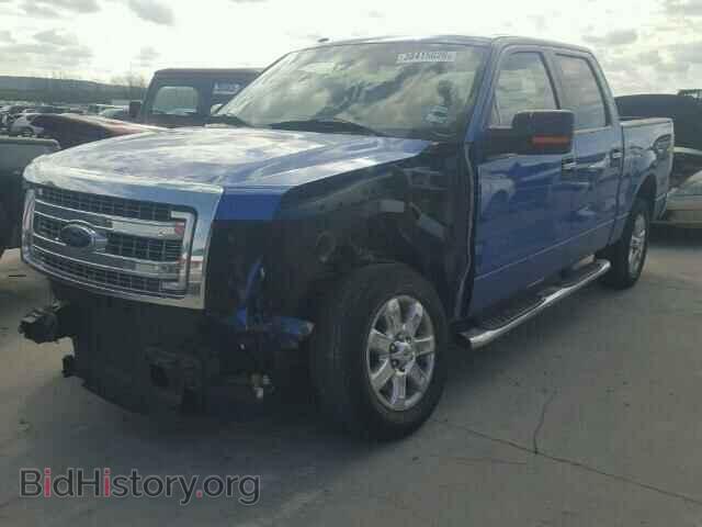 2013 FORD F150 - VIN: 1FTEW1CM1DFD81014 - Фото 2