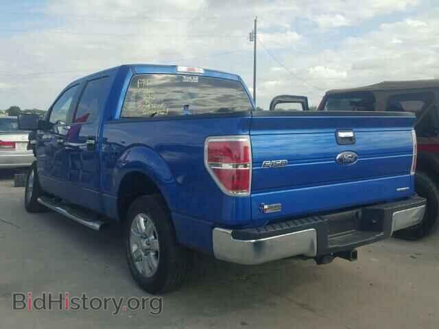 2013 FORD F150 - VIN: 1FTEW1CM1DFD81014 - Фото 3