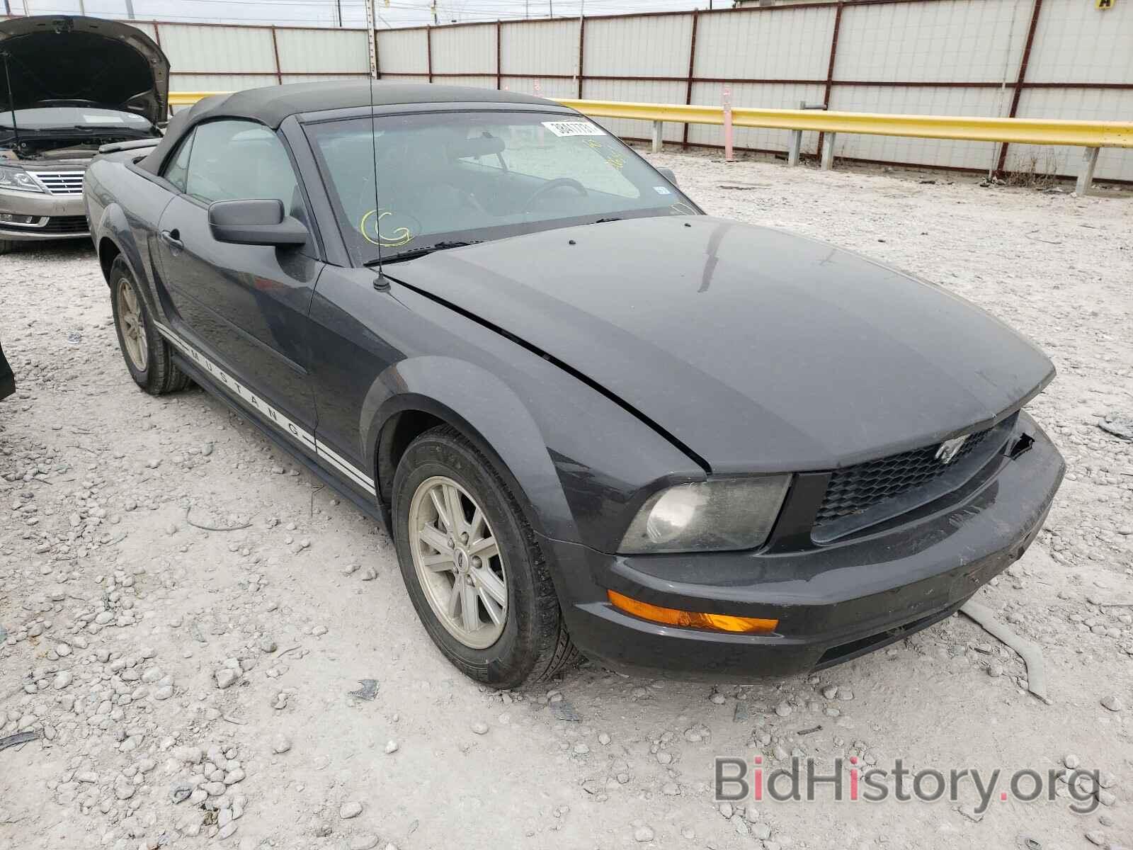 Photo 1ZVFT84N275206081 - FORD MUSTANG 2007