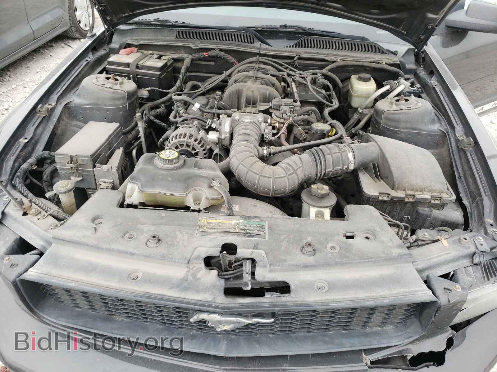 2007 FORD MUSTANG - VIN: 1ZVFT84N275206081 - Фото 7