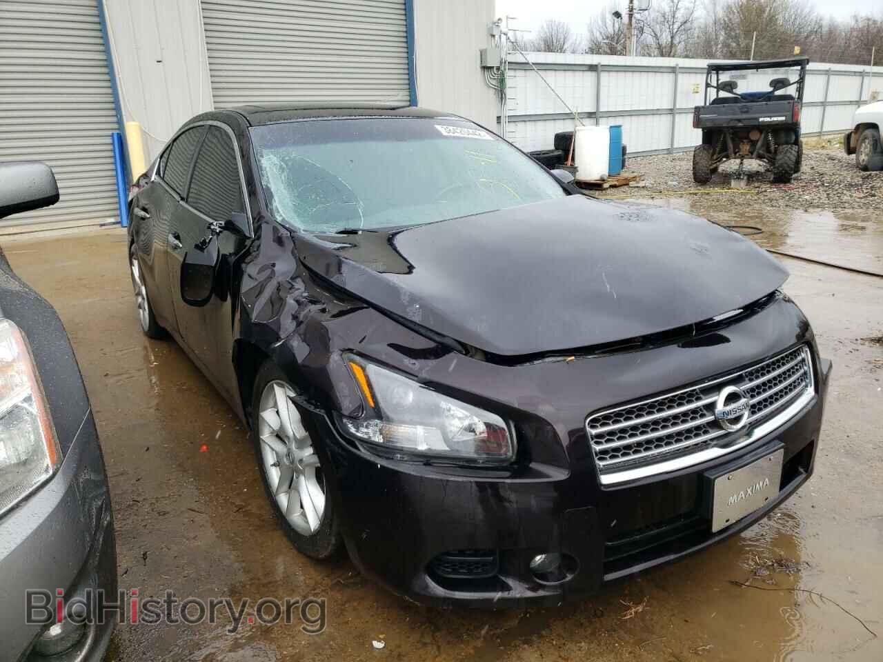 Photo 1N4AA5AP8BC820750 - NISSAN MAXIMA 2011