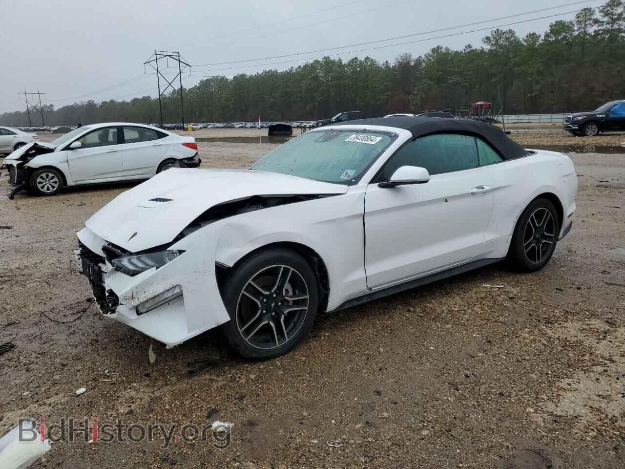 Photo 1FATP8UH1M5122646 - FORD ALL Models 2021