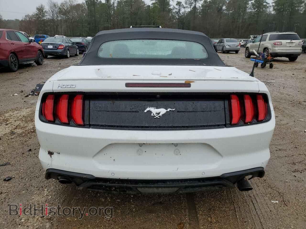 2021 FORD ALL Models - VIN: 1FATP8UH1M5122646 - Photo 6