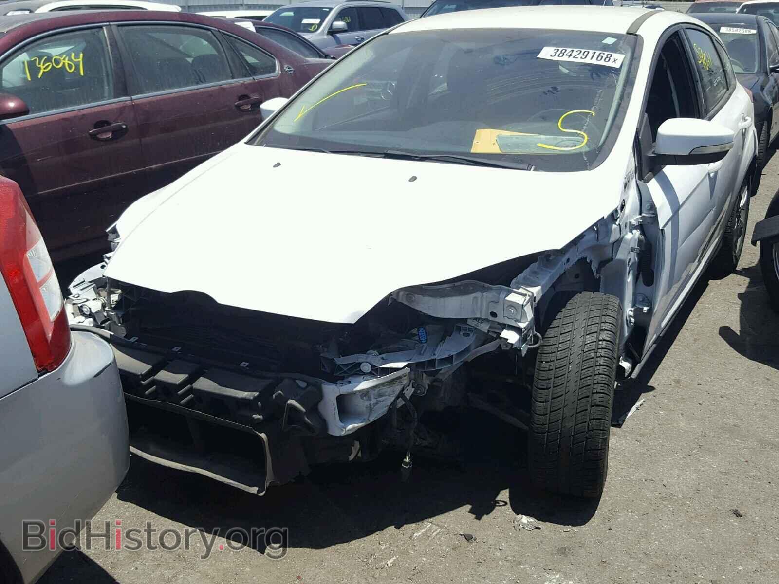 2013 FORD FOCUS - VIN: 1FADP3K27DL320035 - Фото 2