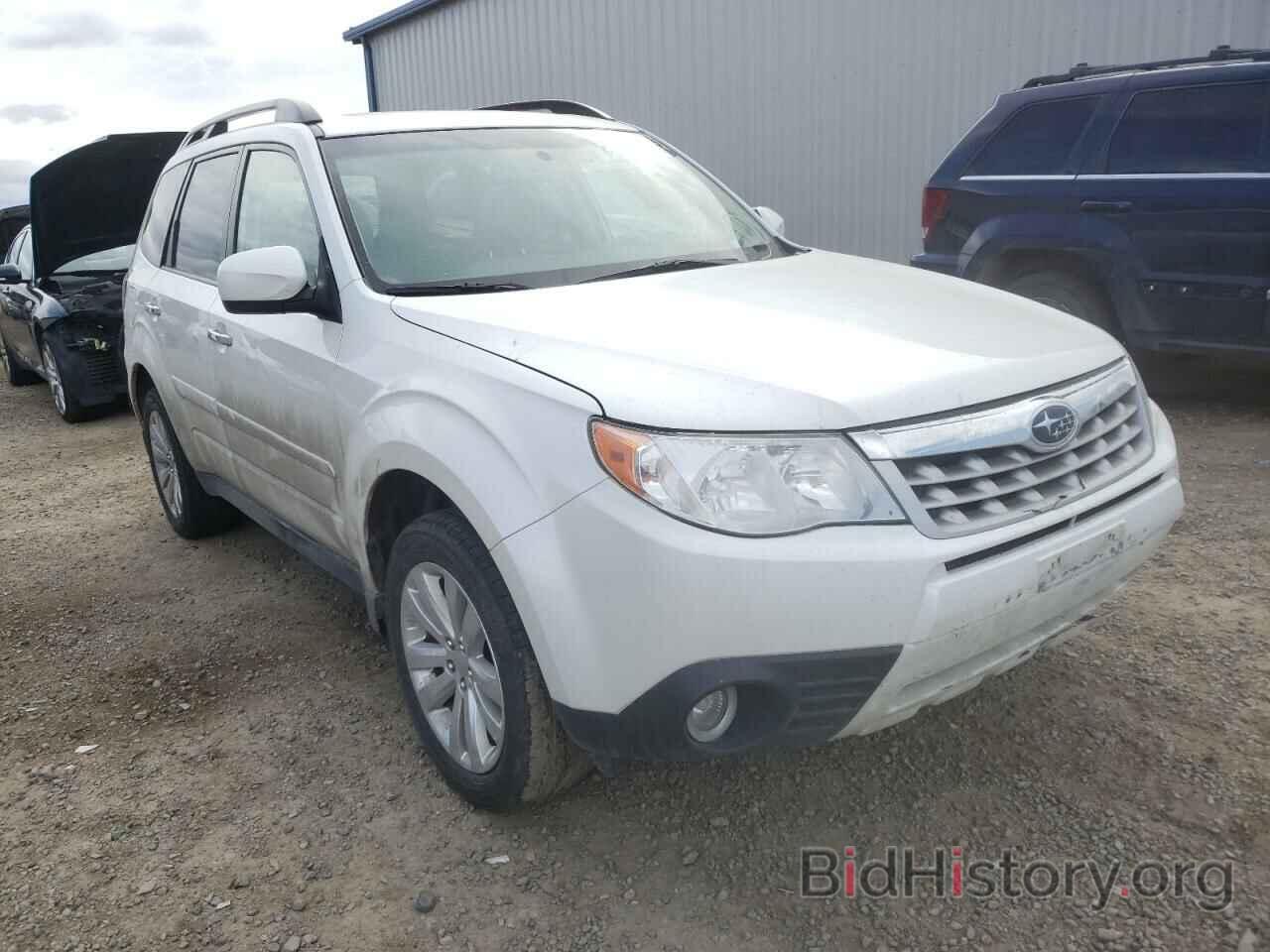 Photo JF2SHBEC7BH702466 - SUBARU FORESTER 2011