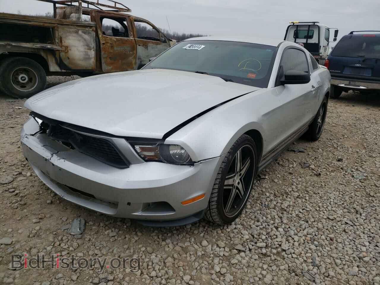 2010 FORD MUSTANG - VIN: 1ZVBP8AN4A5125047 - Фото 2
