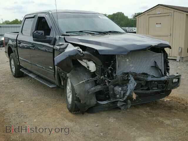 Фотография 1FTEW1EP8FFB21820 - FORD F150 2015