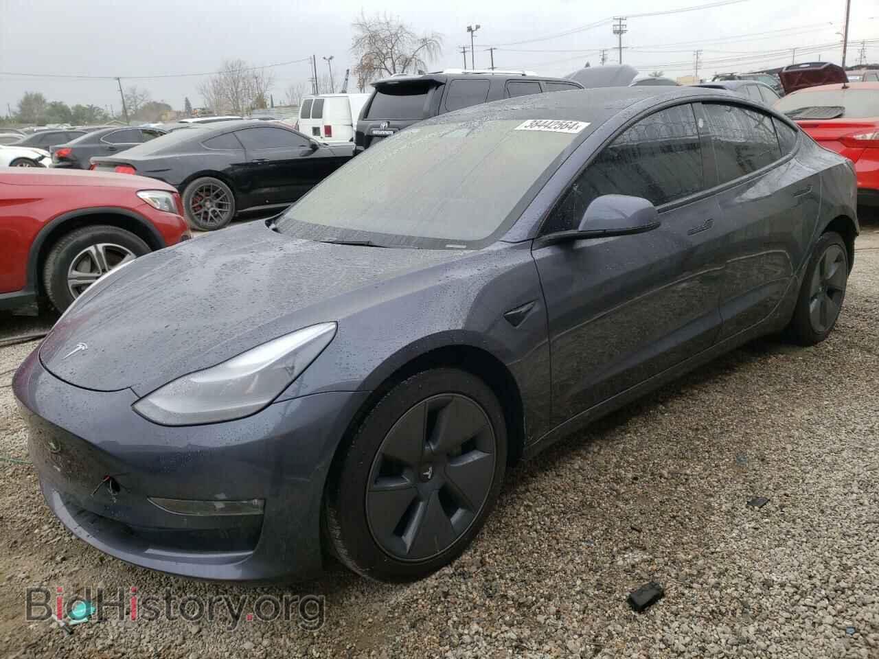 Photo 5YJ3E1EBXNF194768 - TESLA MODEL 3 2022