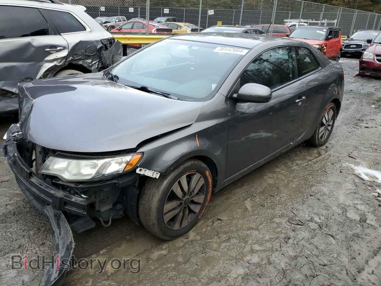 Photo KNAFU6A21D5743273 - KIA FORTE 2013