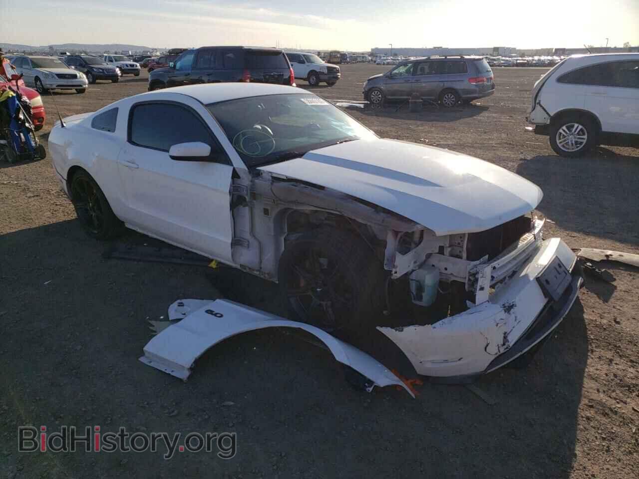 Фотография 1ZVBP8CF2B5143988 - FORD MUSTANG 2011