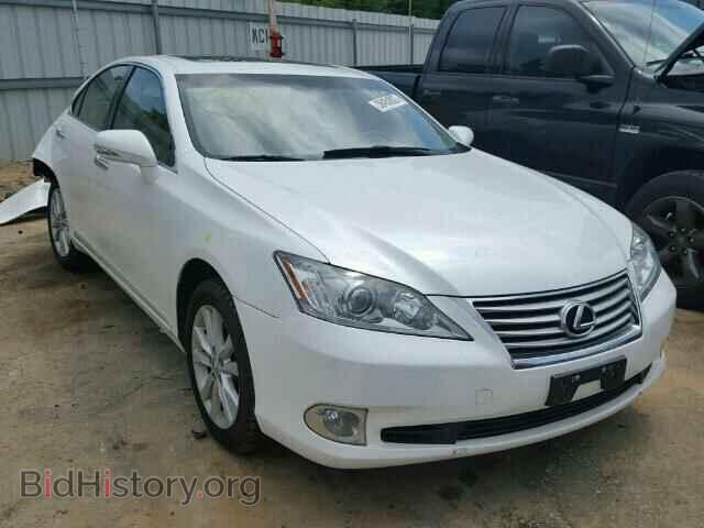Фотография JTHBK1EG9A2402537 - LEXUS ES 350 2010