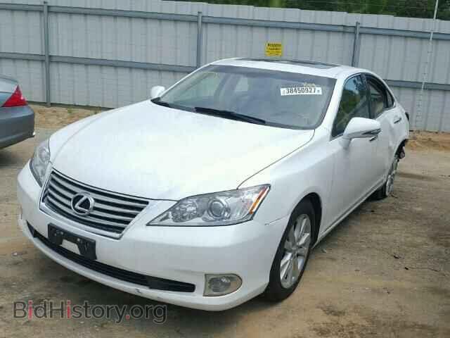 2010 LEXUS ES 350 - VIN: JTHBK1EG9A2402537 - Фото 2