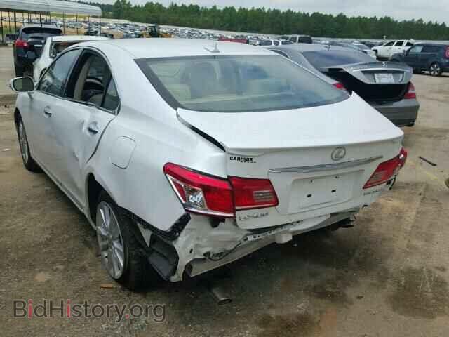 2010 LEXUS ES 350 - VIN: JTHBK1EG9A2402537 - Фото 3