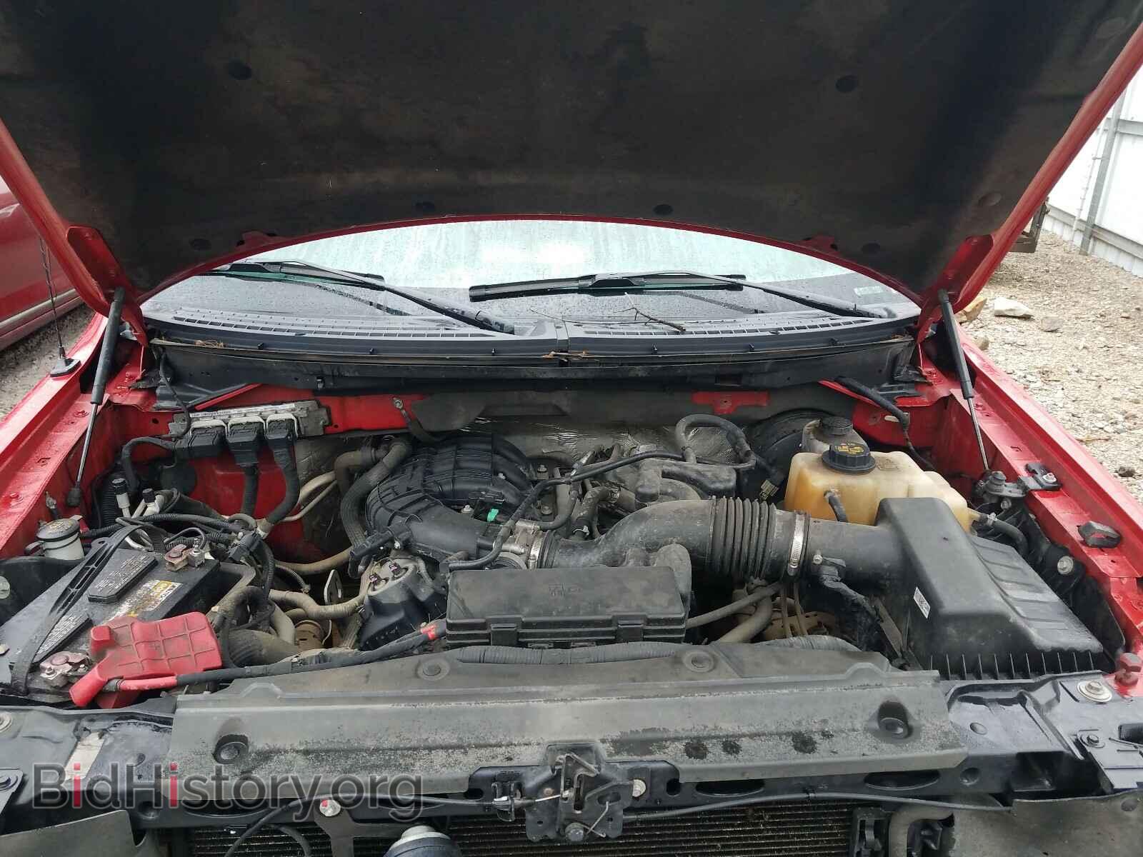 2013 FORD F150 - VIN: 1FTMF1CM3DKD87769 - Фото 7