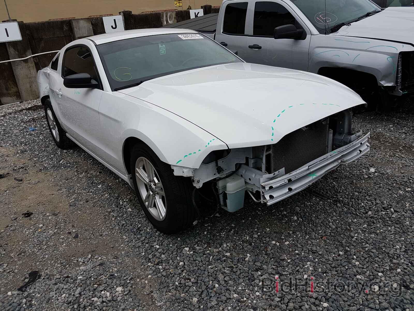 Photo 1ZVBP8AM1E5228293 - FORD MUSTANG 2014