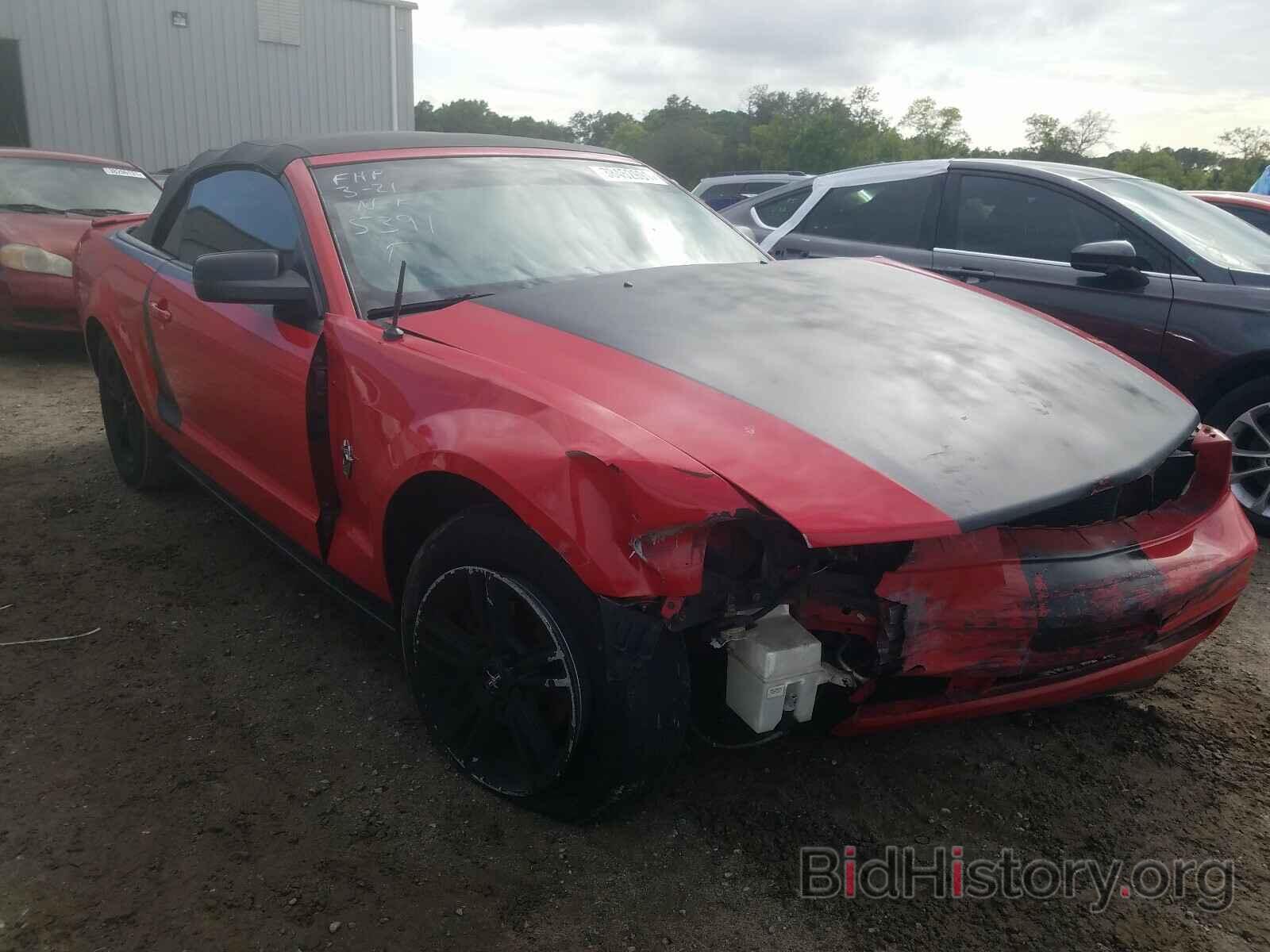 Photo 1ZVHT84N195125391 - FORD MUSTANG 2009