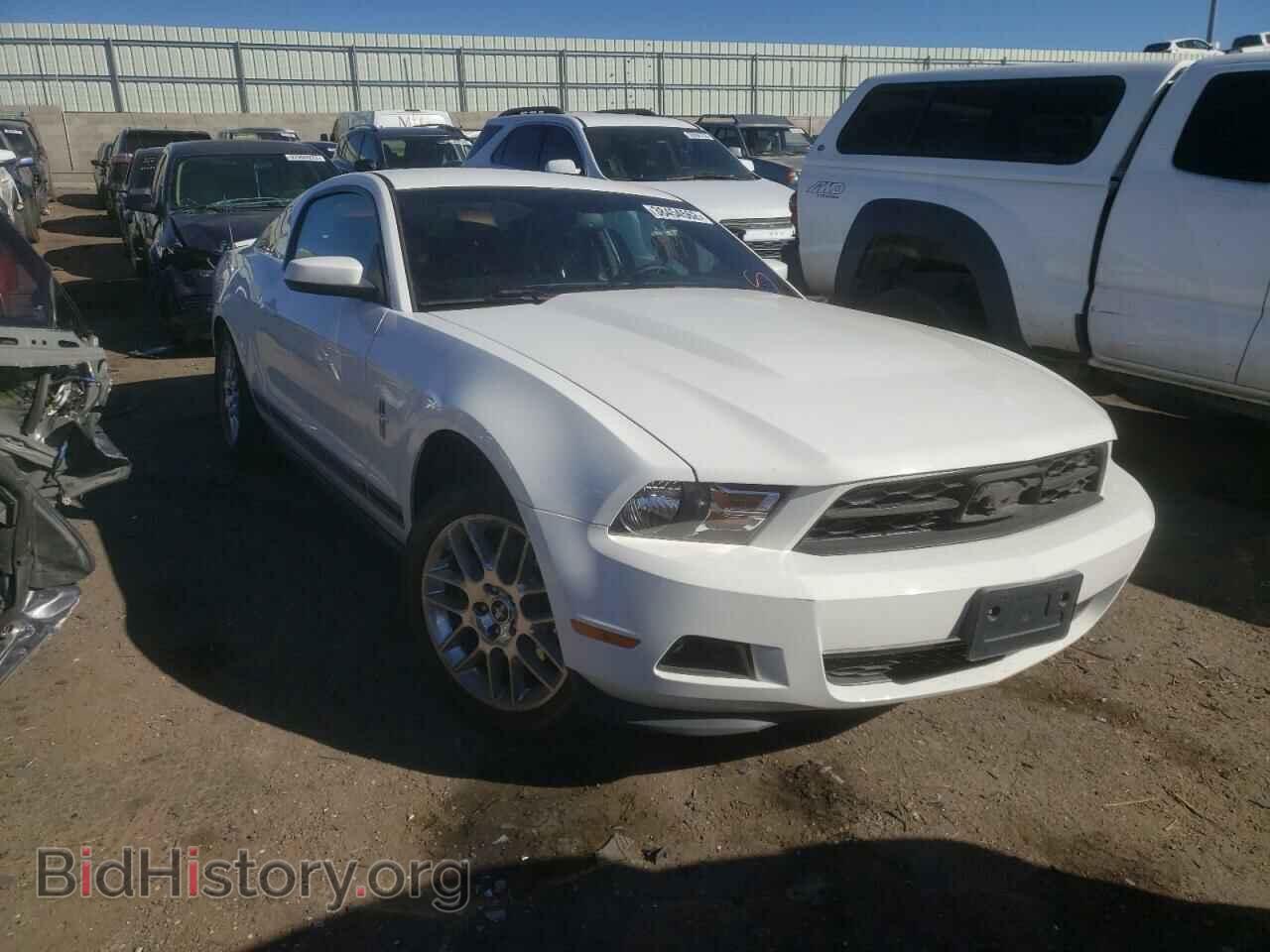Фотография 1ZVBP8AM0C5270113 - FORD MUSTANG 2012