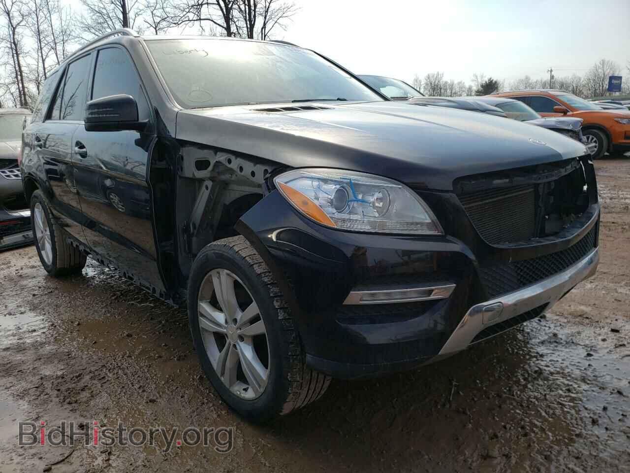 Photo 4JGDA5HB4CA028699 - MERCEDES-BENZ M-CLASS 2012