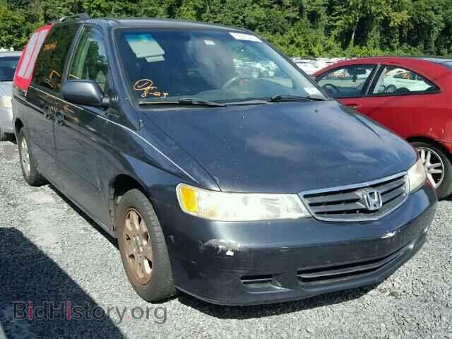 Фотография 5FNRL18643B034994 - HONDA ODYSSEY 2003