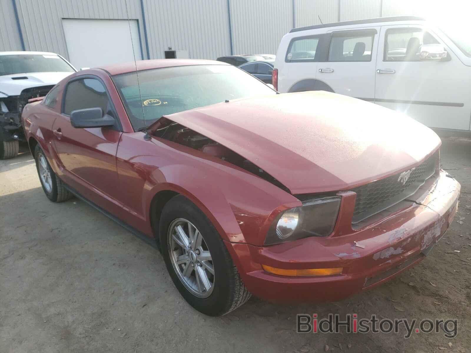 Photo 1ZVHT80N995104701 - FORD MUSTANG 2009