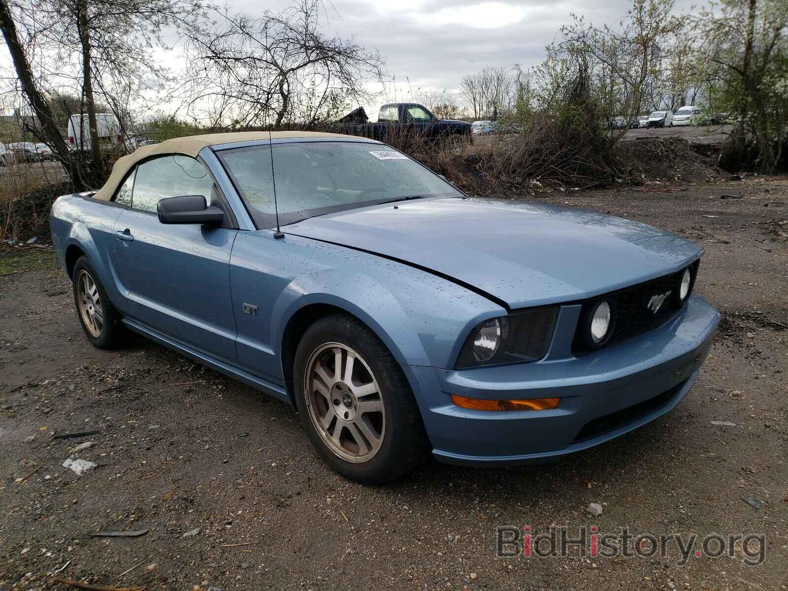 Photo 1ZVFT85H465188576 - FORD MUSTANG 2006
