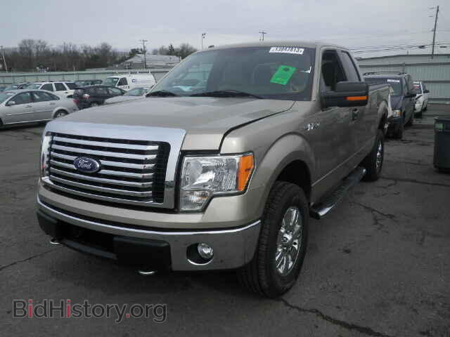 2011 FORD F150 - VIN: 1FTFX1EF3BFB31769 - Фото 2