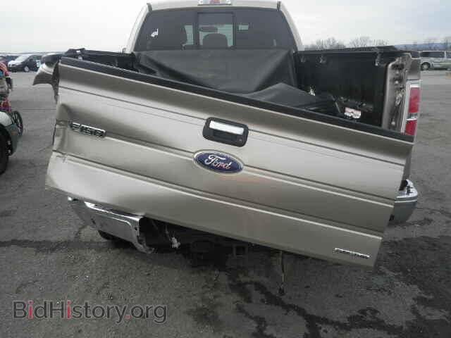 2011 FORD F150 - VIN: 1FTFX1EF3BFB31769 - Фото 10