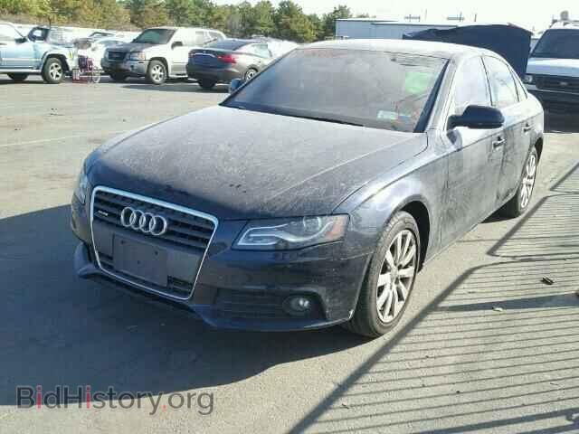 2010 AUDI A4 - VIN: WAUFFAFL3AN057097 - Фото 2